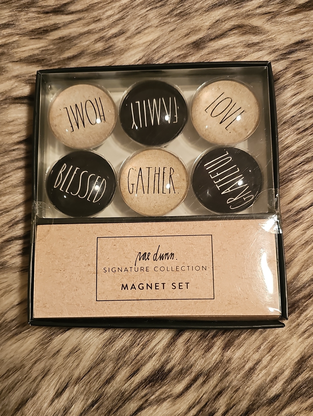 Rae Dunn Black & Kraft Script Glass Dome Magnet Set